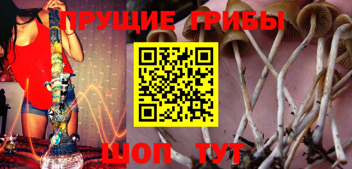 Волгоград  Псилоцибиновые грибы мухоморы  Вход с VPN 
